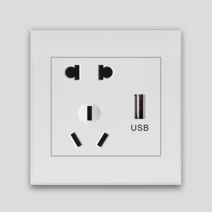 USB/聯(lián)體開關(guān)插座系列